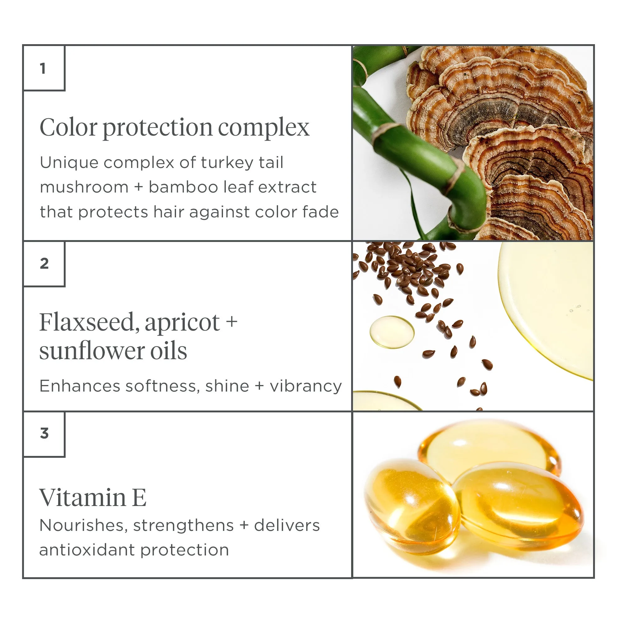Color Me Brilliant™ Mushroom   Bamboo Hair Color   Heat Protectant Primer
